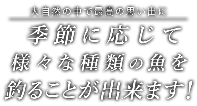 大自然の中で最高の思い出に 季節に応じて様々な種類の魚を釣ることが出来ます!